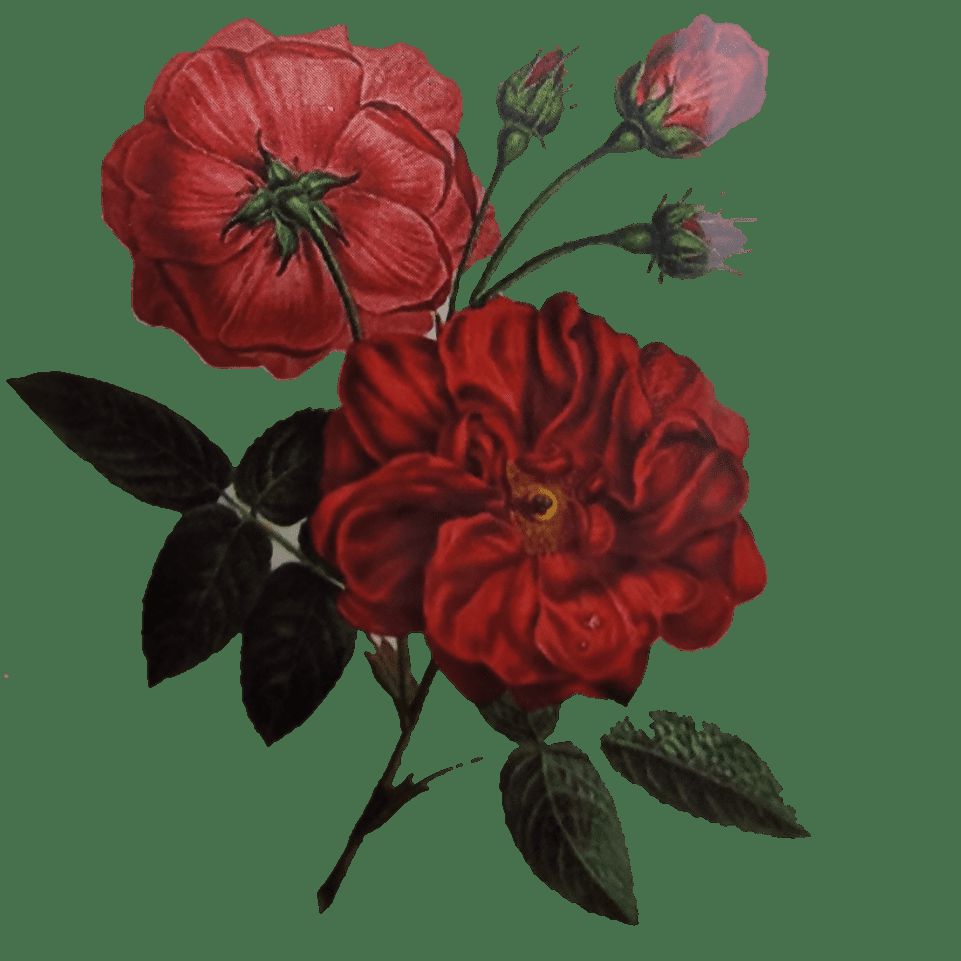 20406.jpg ملصق للجسم اسلامي TATTO - الصورة 1